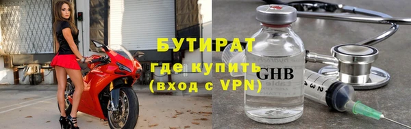 индика Аркадак