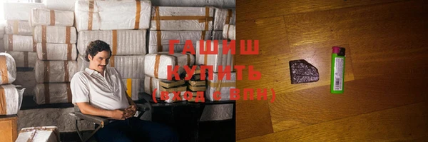 индика Аркадак