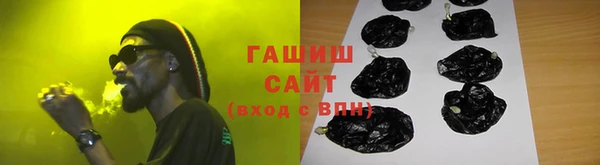хмурый Арсеньев