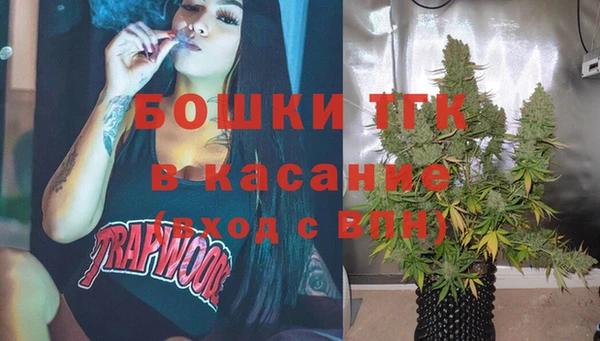 индика Аркадак