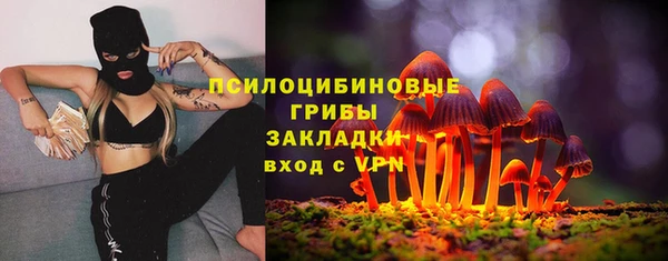 гашик Армянск