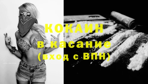 индика Аркадак